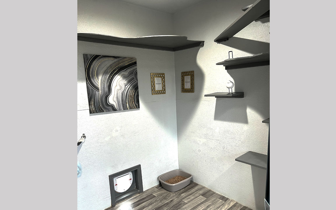 Bengal Kittens for sale near me